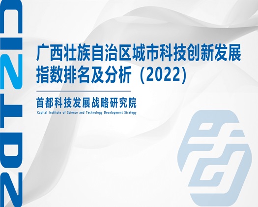 免费操逼一099【成果发布】广西壮族自治区城市科技创新发展指数排名及分析（2022）